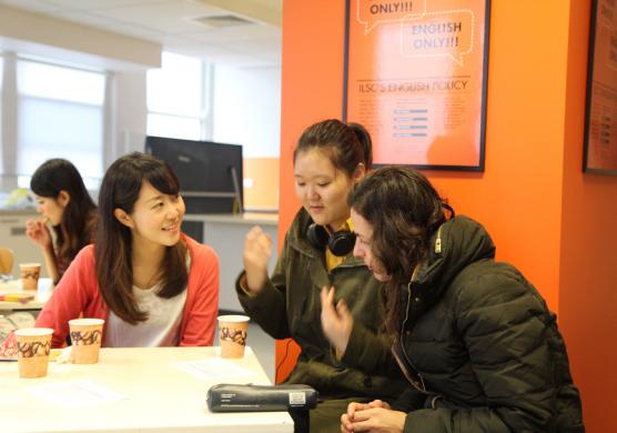 Greystone College Sydney 專業證書